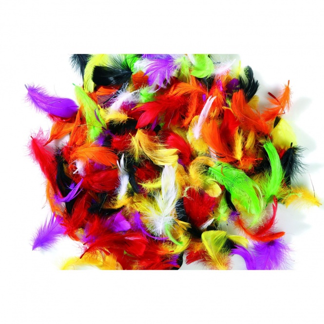 Zubehör Daunenfedern 